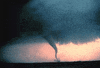 Animation Tornado GIF by weinventyou
