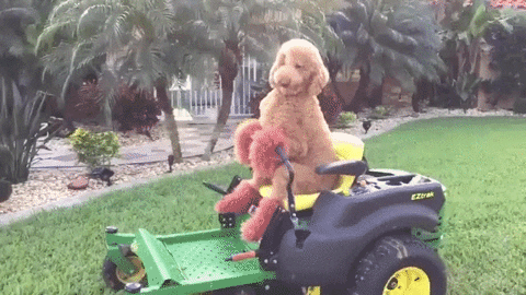 sexy gardener GIF