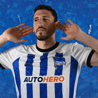 Sport Bundesliga GIF by Hertha BSC