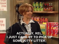 kenan and kel nicksplat GIF