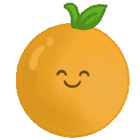 Orange Fruit Sticker