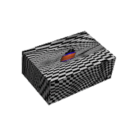 brain dings shipping box Sticker by namslam