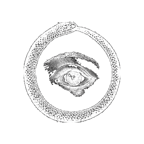 Eye Snake Sticker by DB&BAR