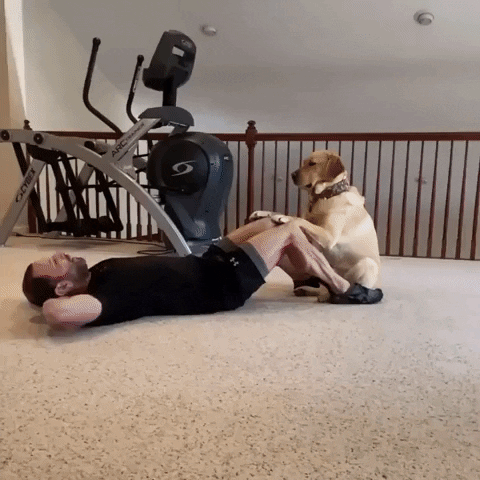 cuteanimalland giphyupload GIF