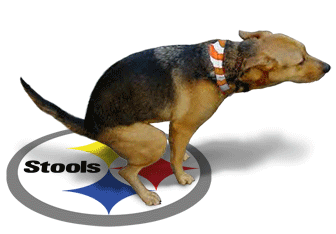 pittsburgh steelers images GIF