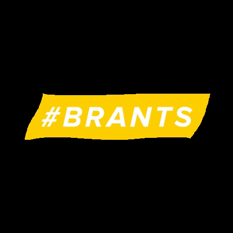 startwithrex marketing brand branding brands GIF