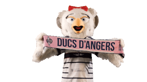 Celebration Goal Sticker by Les Ducs d'Angers