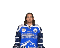 Hockey Wow Sticker by SCRIESSERSEE