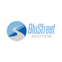 Exotic Car Sticker by BluStreet