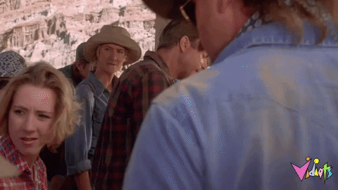 GIF by Vidiots