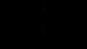 Tf1 GIF by Satisfaction Group
