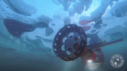 arifazeez giphygifmaker GIF