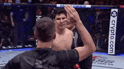 Sport GIF by UFC