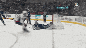 hockey win GIF by Capitals