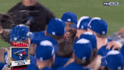 Blue Jays Baseball GIF by MLB