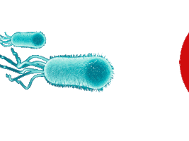 Ecommerce Coli Sticker by ACQUAHOME