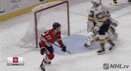 Celebrate Ice Hockey GIF by NHL