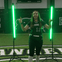 Parkside Softball GIF by Parkside Athletics