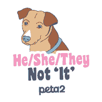 Dog Puppy Sticker by PETA
