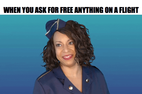 ComedianHollyLogan giphygifmaker travel laughing comic GIF