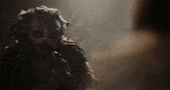 Halloween Bird GIF by Crypt TV