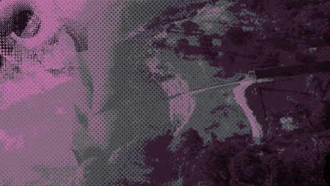 Tash_Hill giphyupload GIF