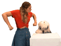 Angry Samson En Gert Sticker by Studio 100