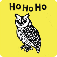 Birds Owls GIF