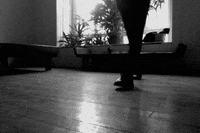 Artist Pasos GIF by Alina Sánchez