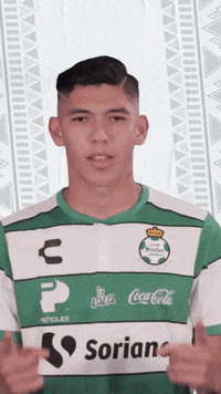 clubsantos  GIF