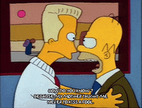 Season 2 GIF by The Simpsons