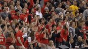 Ohio State Celebration GIF by Ohio State Athletics