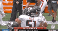 Regular Season Football GIF by NFL