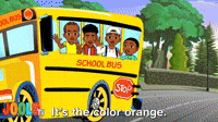 The Color Orange