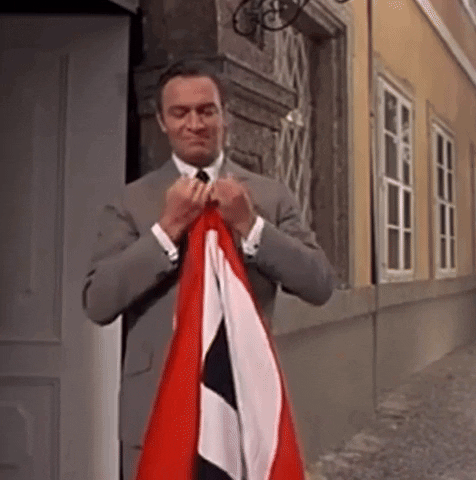 piedrapomez giphyupload nazi fascist GIF