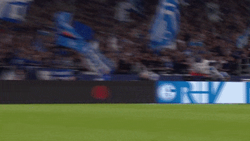 Happy Football GIF by FC Schalke 04