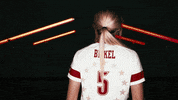 University Of Louisville Softball GIF by Louisville Cardinals