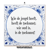 Nl Dromen Sticker by Tegelspreuken.nl