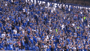 Veltins Arena Football GIF by FC Schalke 04