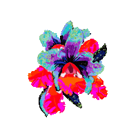 Saudades Sticker by HeZza FeZza