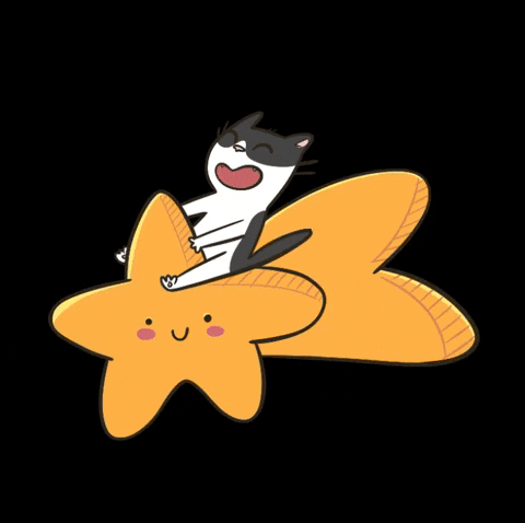 Happy Shooting Star GIF by Mumosa & Ragout