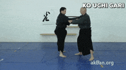kouchi gari GIF by AKBAN Academy