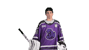 Hockey Save Sticker by Youngstown Phantoms