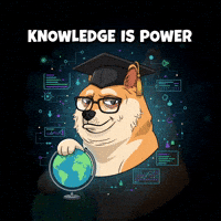 Shiba Inu Education GIF by Doge Pound