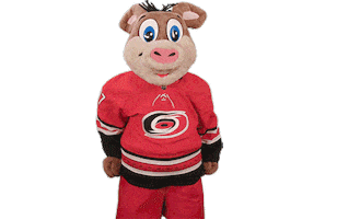 Ice Hockey Dancing Sticker by NHL