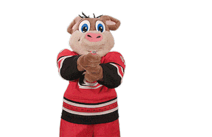 Happy Ice Hockey Sticker by NHL