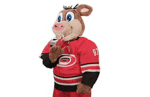 Ice Hockey Sticker by NHL