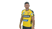 Handball-Bundesliga Finger Sticker by LIQUI MOLY HBL