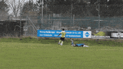 Angry Football GIF by SV Bergheim 1906