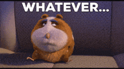 John Krasinski Ok GIF by The Animal Crackers Movie